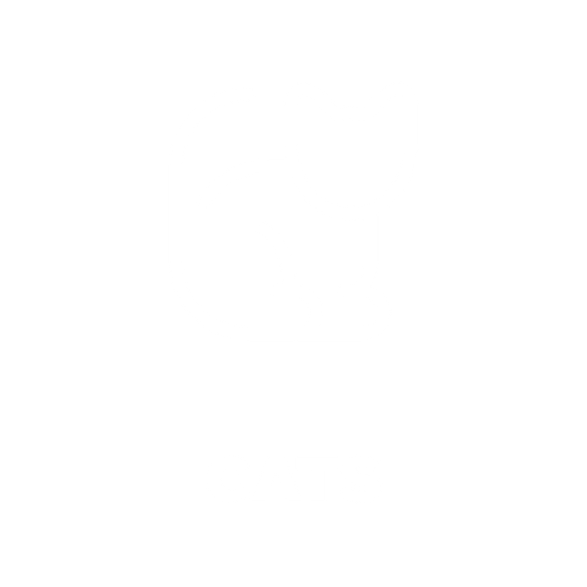 HOTSOX, Novelty, Animals, Cats