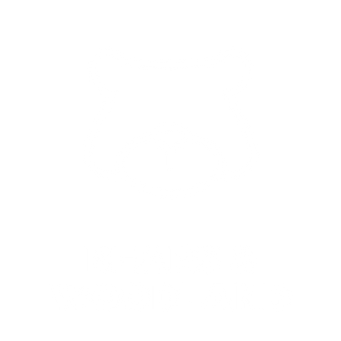 HOTSOX, Novelty, Animals, Bears & Woodland