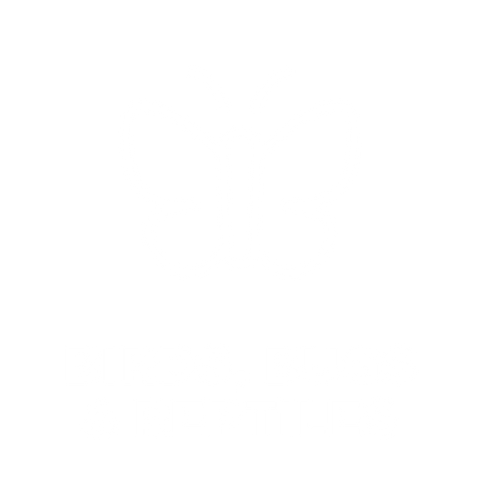 HOTSOX, Novelty, Animals, Birds, Bugs & Reptiles