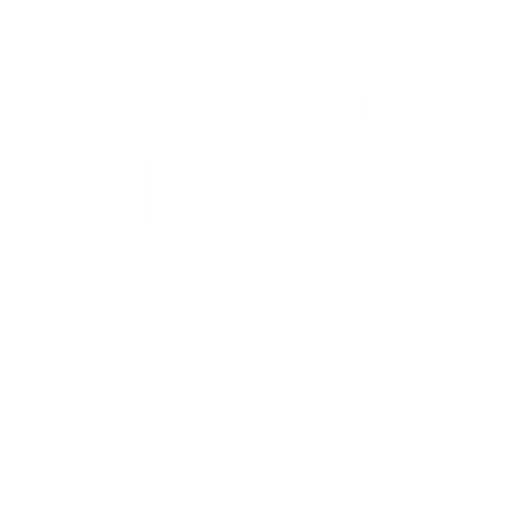 HOTSOX, Novelty, Animals, Cats