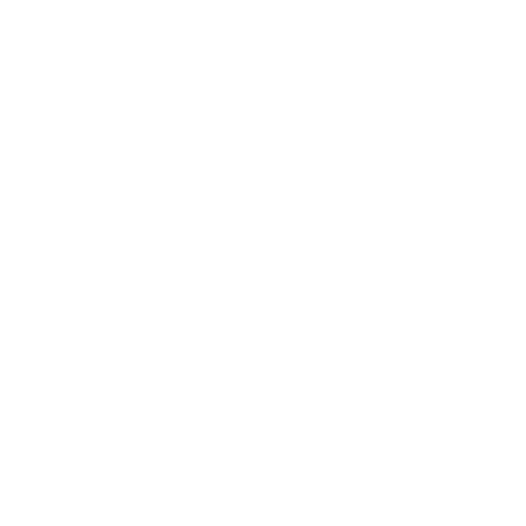 HOTSOX, Novelty, Animals, Dogs