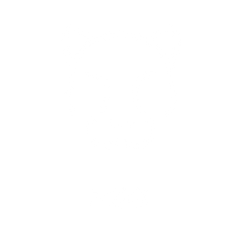 HOTSOX, Novelty, Animals, Zoo