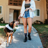 Woman walking a dog on a leash in front of a house thumbnail