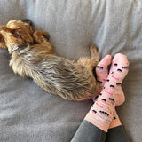 Woman wearing pink socks with a sushi pattern design and a small dog next to her feet. thumbnail