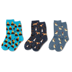 HOTSOX kids sock three pair pack featuring various patterns of different dogs, including dachshunds, basset hounds, bedlington terriers, English bulldogs and rottweilers.